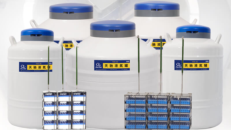 細(xì)胞儲(chǔ)存罐里的液氮一定要蓋過(guò)樣本嗎