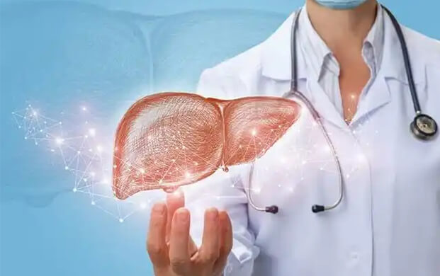 日本培育代謝活性肝細胞類器官，液氮冷凍技術突破存儲瓶頸